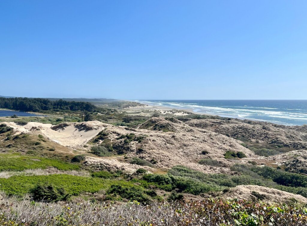 Oregon Dunes