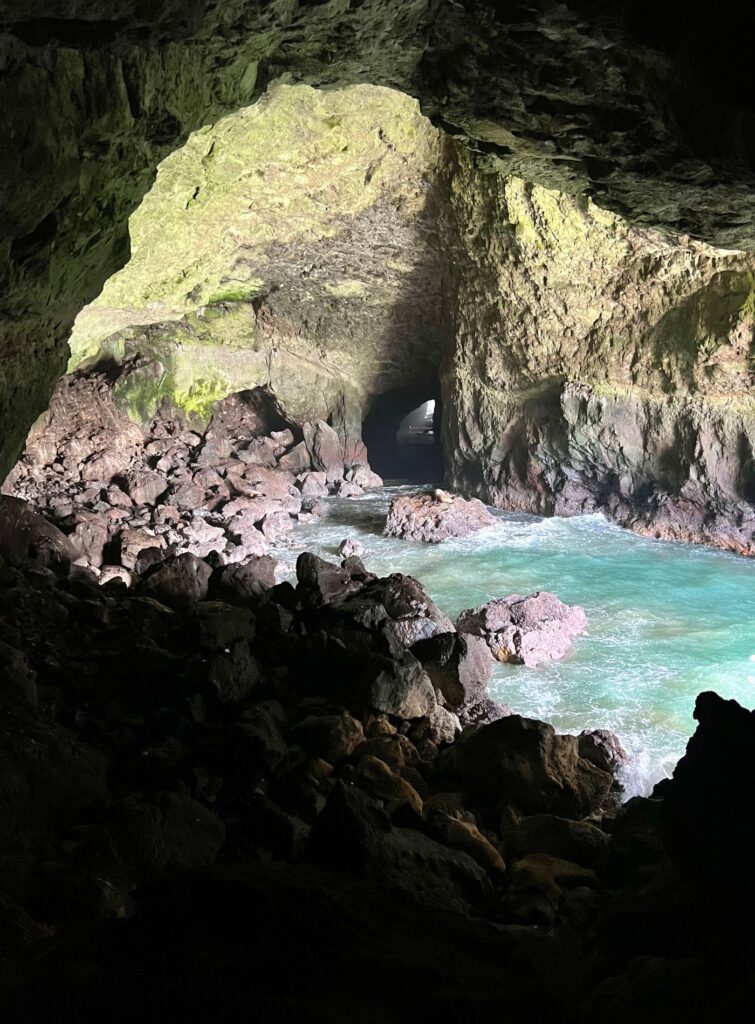 Sea Lion Cave in Oregon