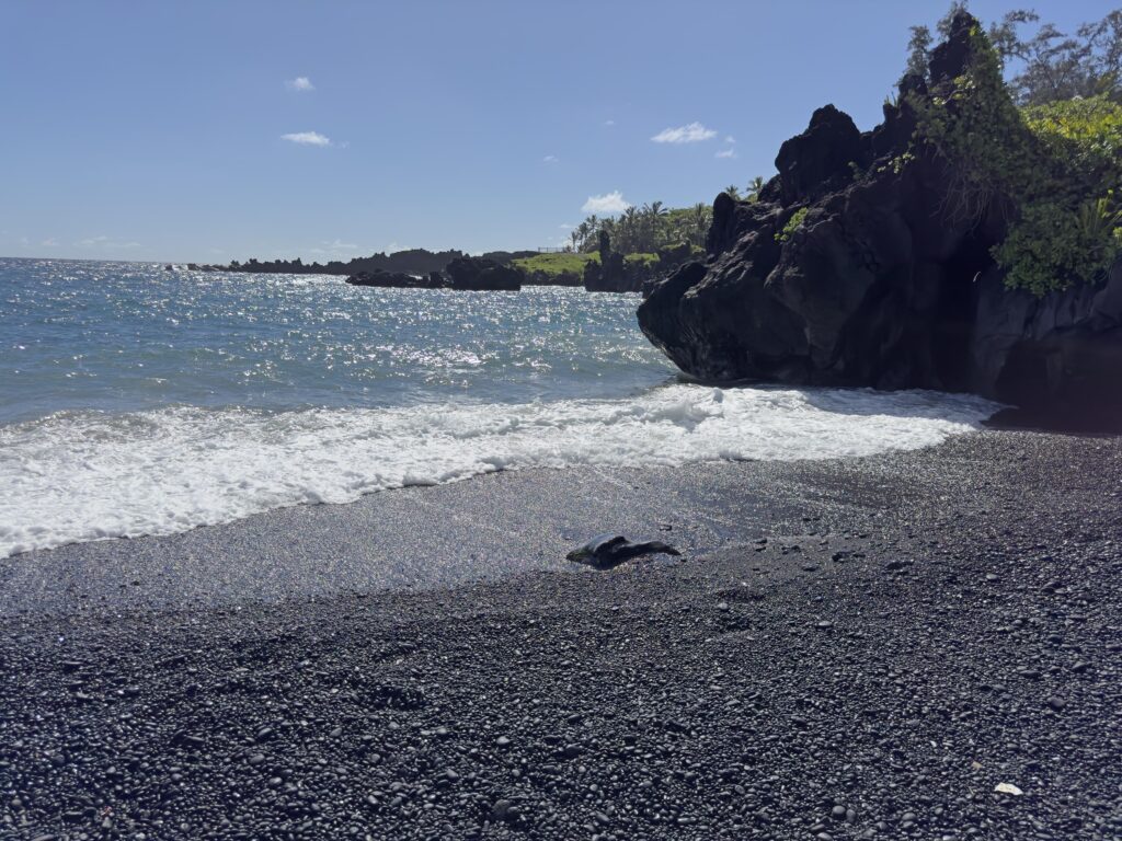 Black Sand Beach at Waianapanapa State Park